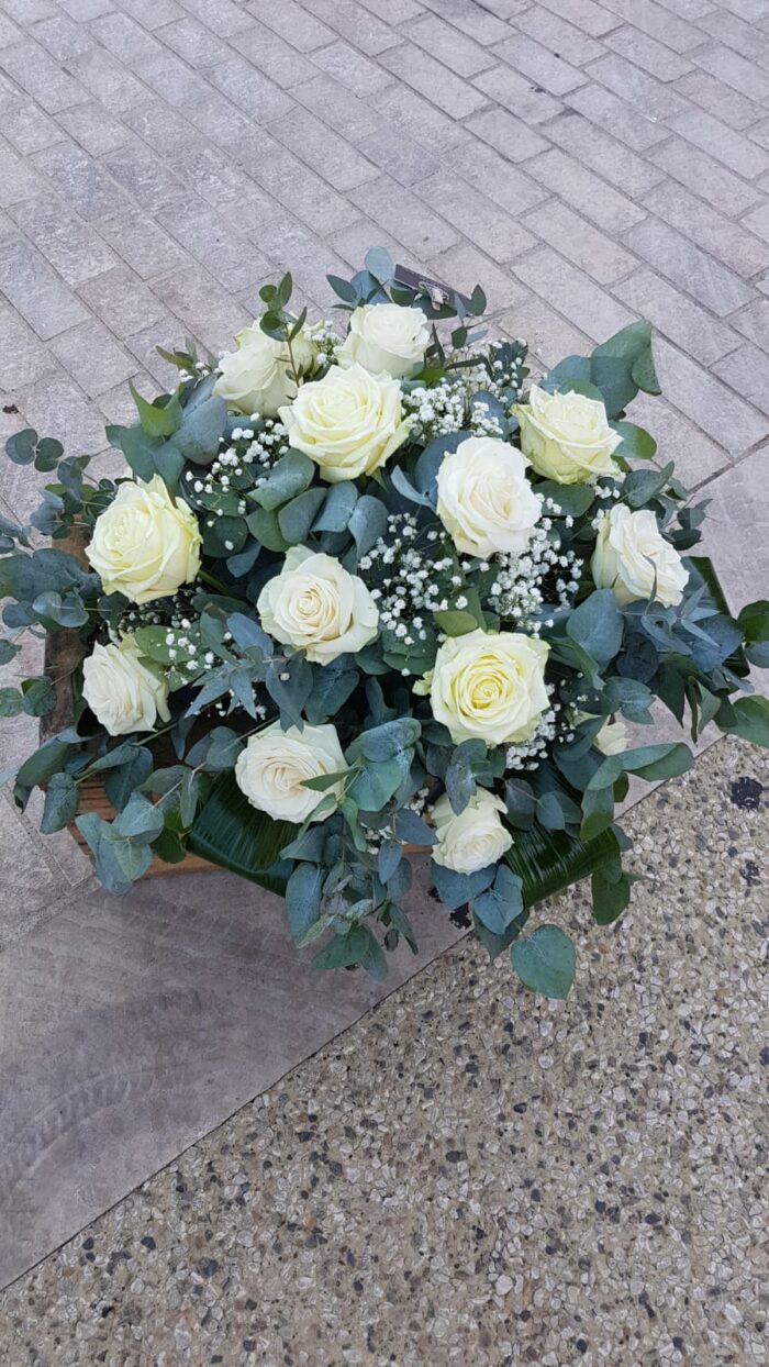 Clarté – Image 2