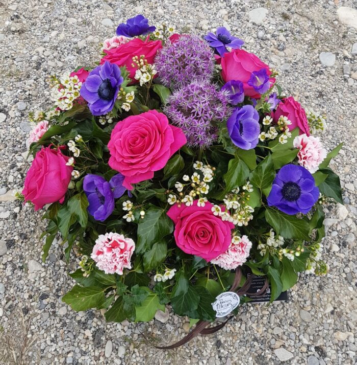 Violetta – Image 4