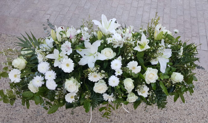Clarté – Image 5