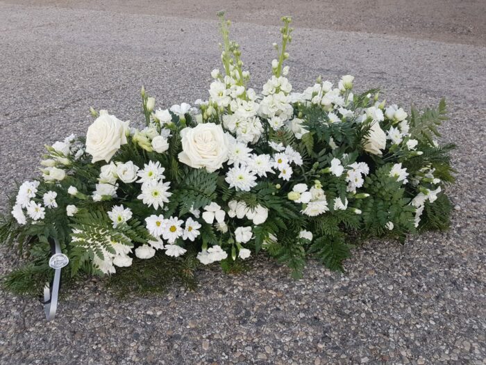 Clarté – Image 2