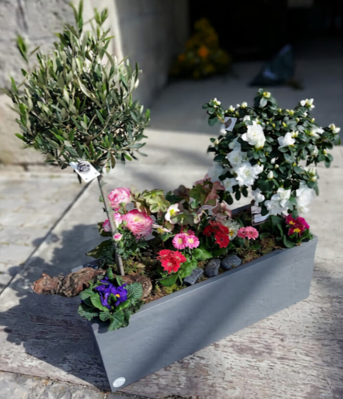 Jardinière de plantes de saison – Image 4