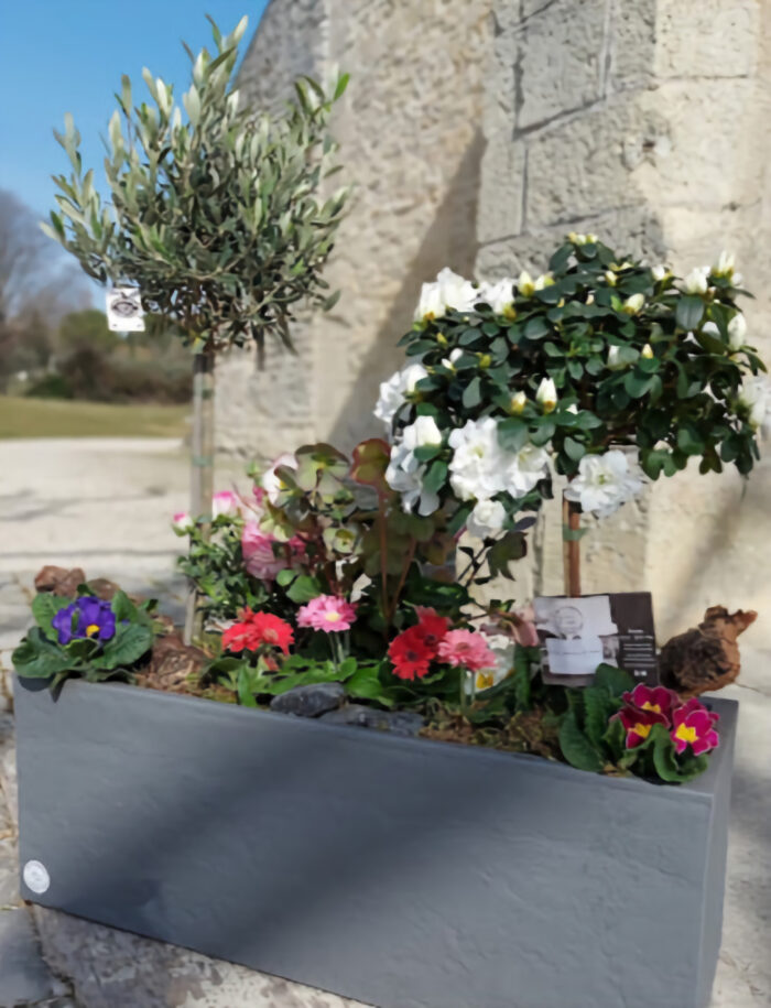 Jardinière de plantes de saison – Image 2