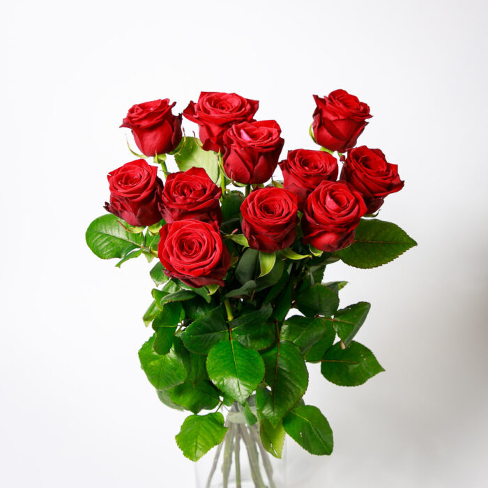 Bouquet passioné de roses rouges